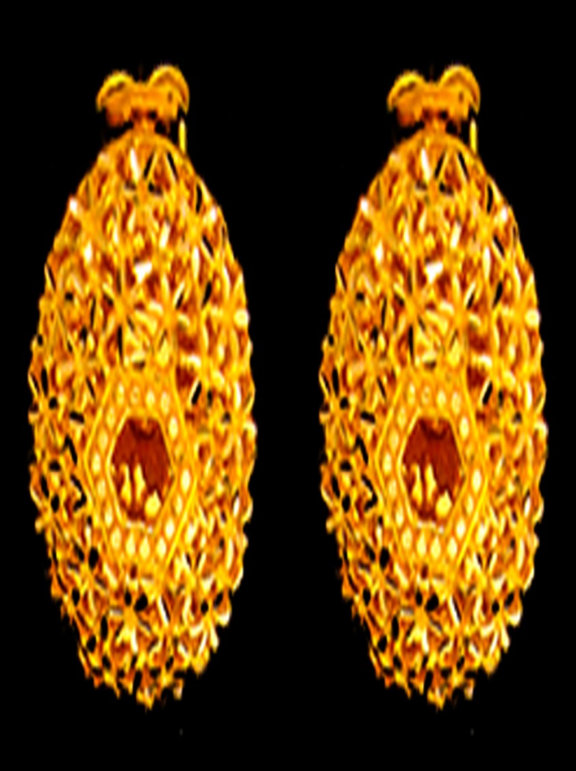 21K Gold Earrings – SW11933